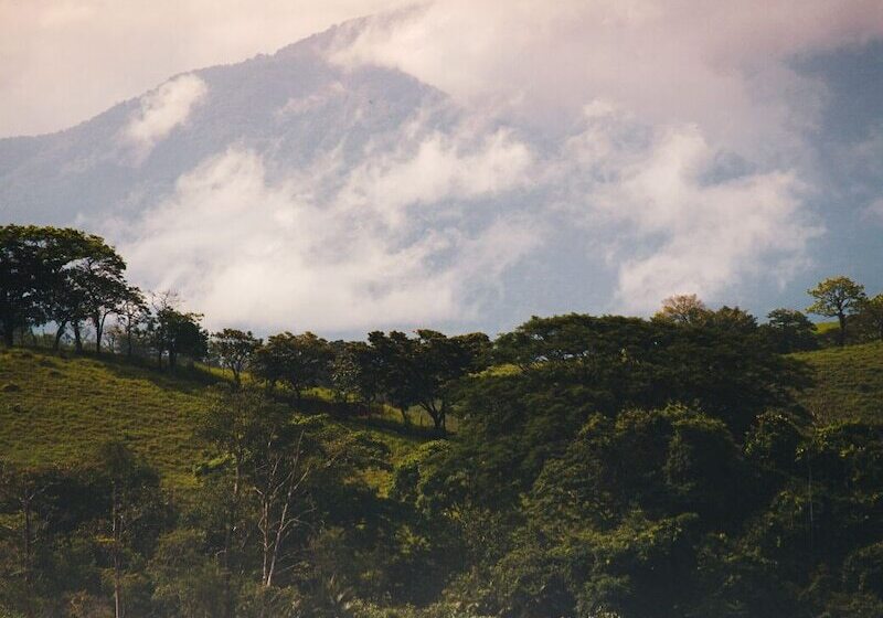 בית מלון כפרי Casa Morrillo