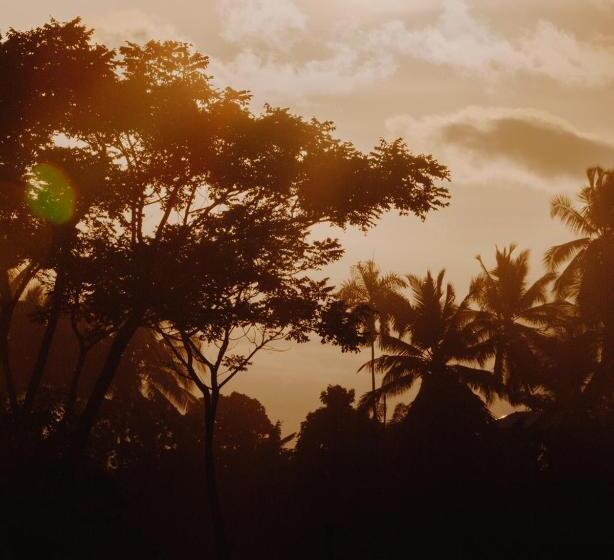 בית מלון כפרי Casa Morrillo