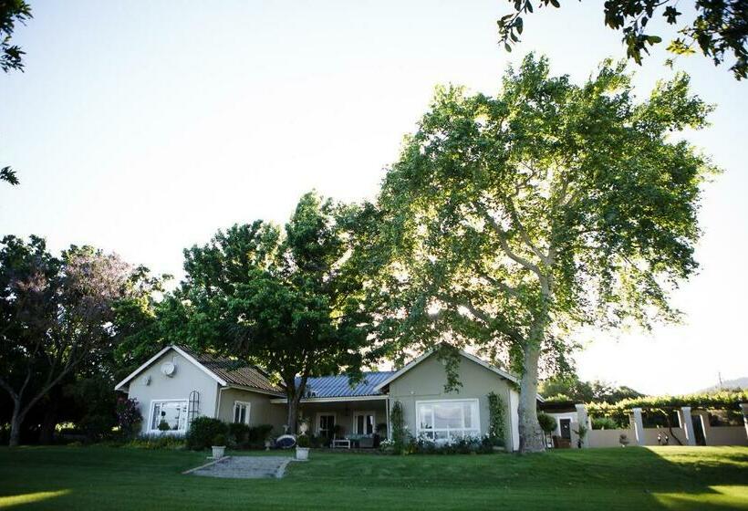 בית מלון כפרי Doran Vineyards