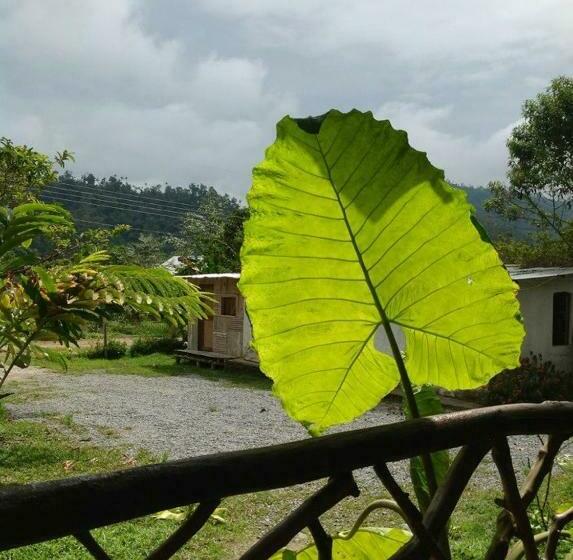 هتل Hostería Mindo Samay Juku