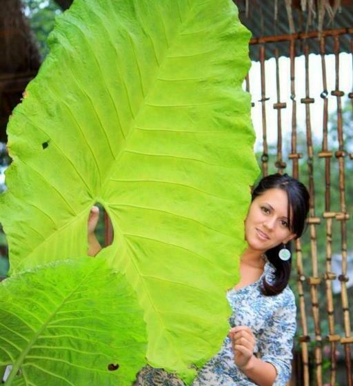 هتل Hostería Mindo Samay Juku