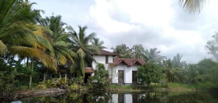 فندق Lagoon Villa