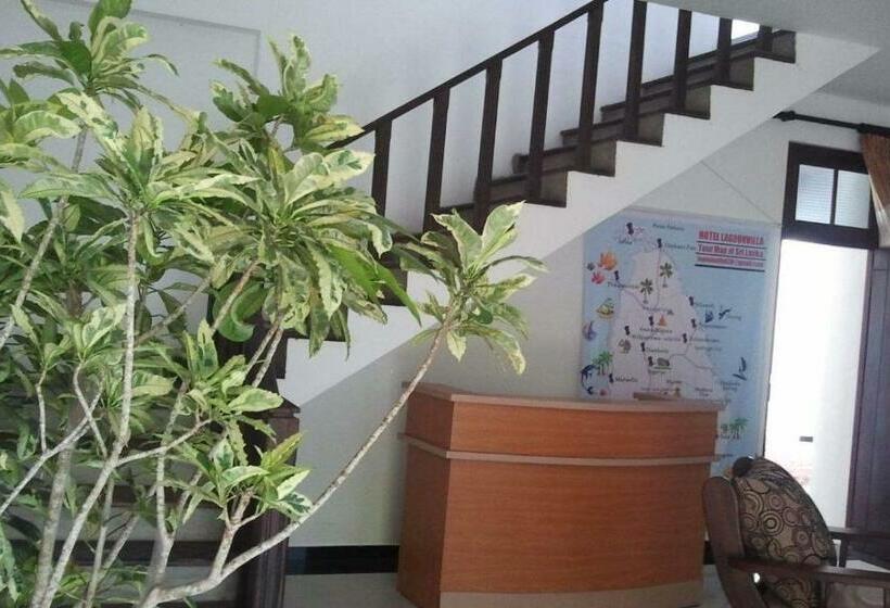 ホテル Lagoon Villa