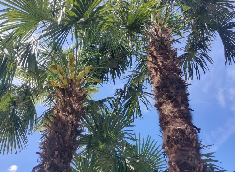 בית מלון כפרי Mareithof Appartements Seeblick