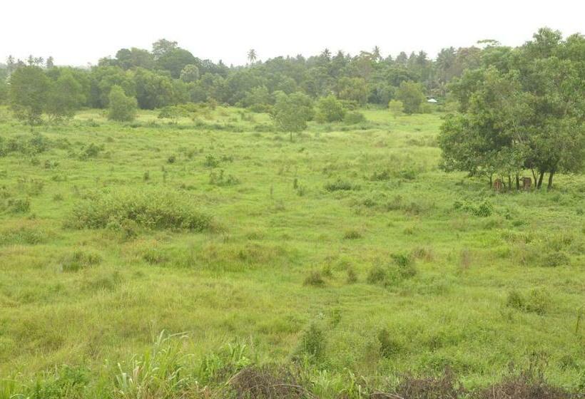 호텔 Otha Shy Airport Transit