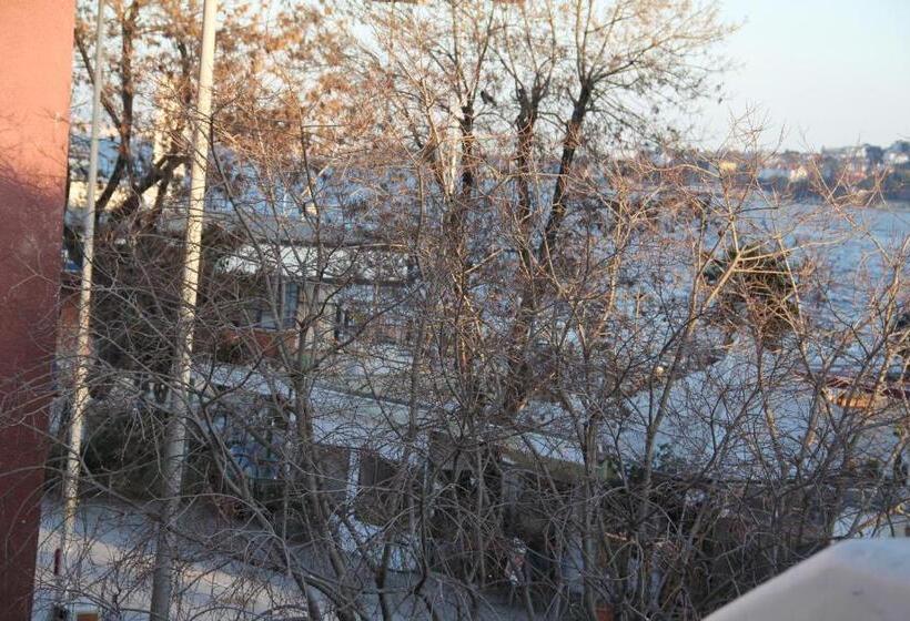 ホテル Ozdemir Pansiyon