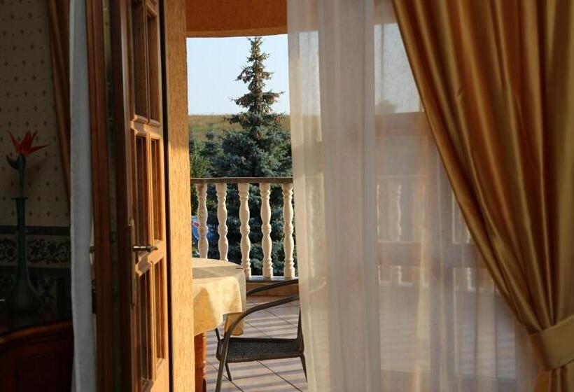 Отель Pensiunea Empire