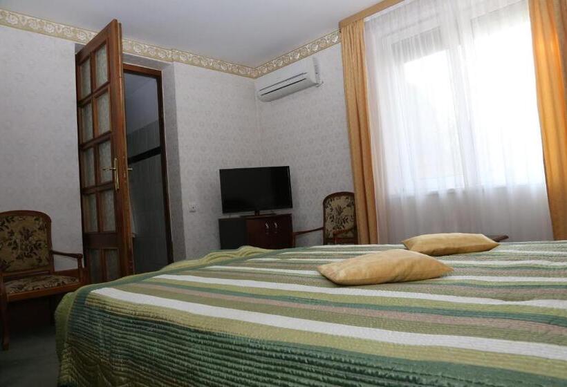 Отель Pensiunea Empire