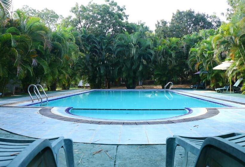 Отель Royal Green Garden