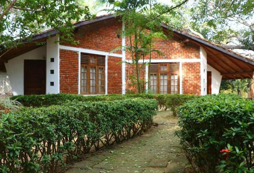 Отель Royal Green Garden