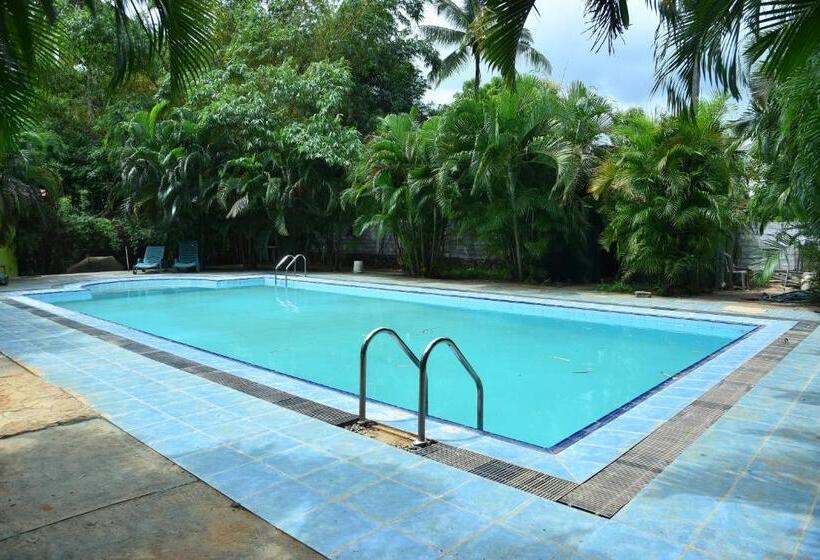 Отель Royal Green Garden