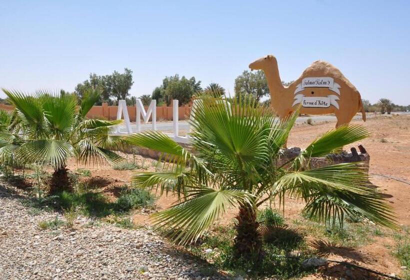 هتل Salma Palms Hôtel