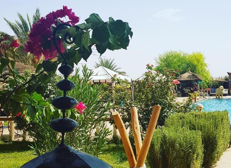 هتل Salma Palms Hôtel