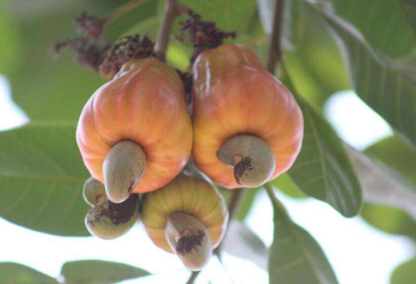 فندق Sneha Farm House