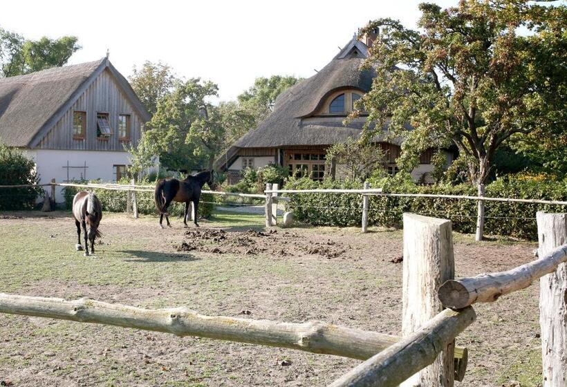 Ostseehotel Wustrow