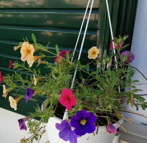 פנסיון Casita Da Floresta