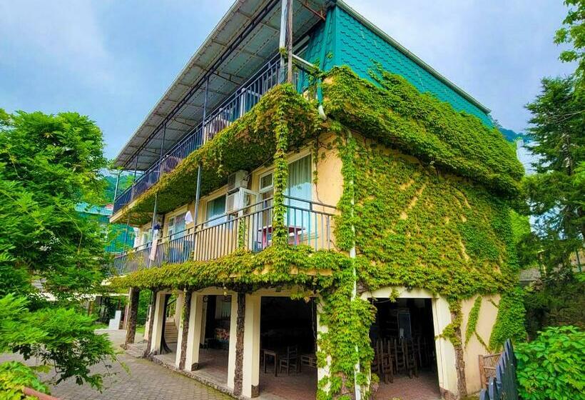 پانسیون Guest House Kvariati