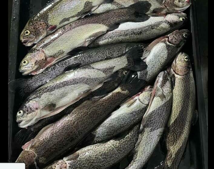 פנסיון Guesthouse Arber