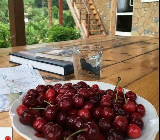 פנסיון Guesthouse Arber