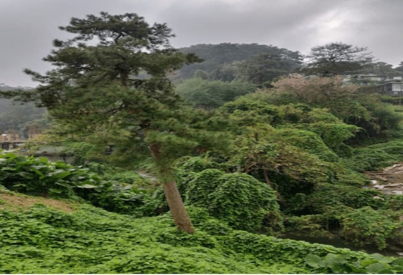 פנסיון Highwinds