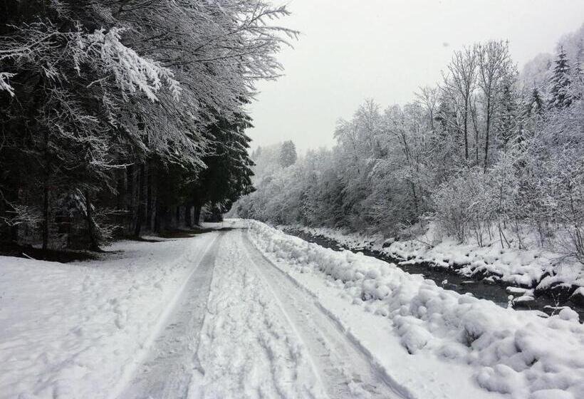膳宿费 Les Quatre Saisons Balcon Et Jardin