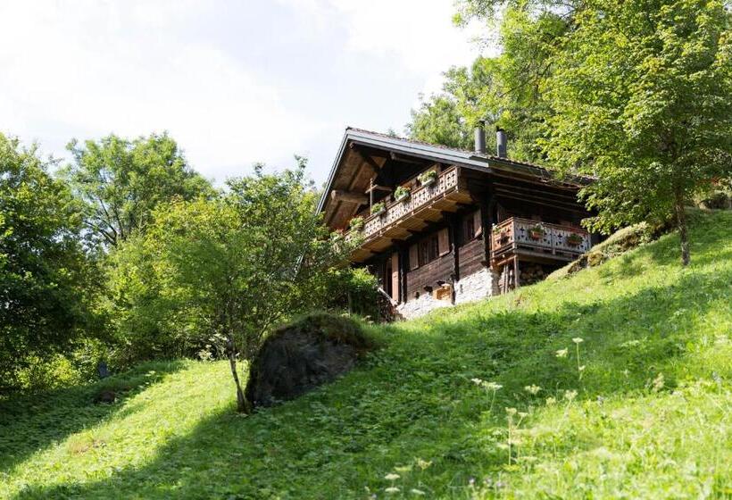 膳宿费 Les Quatre Saisons Balcon Et Jardin