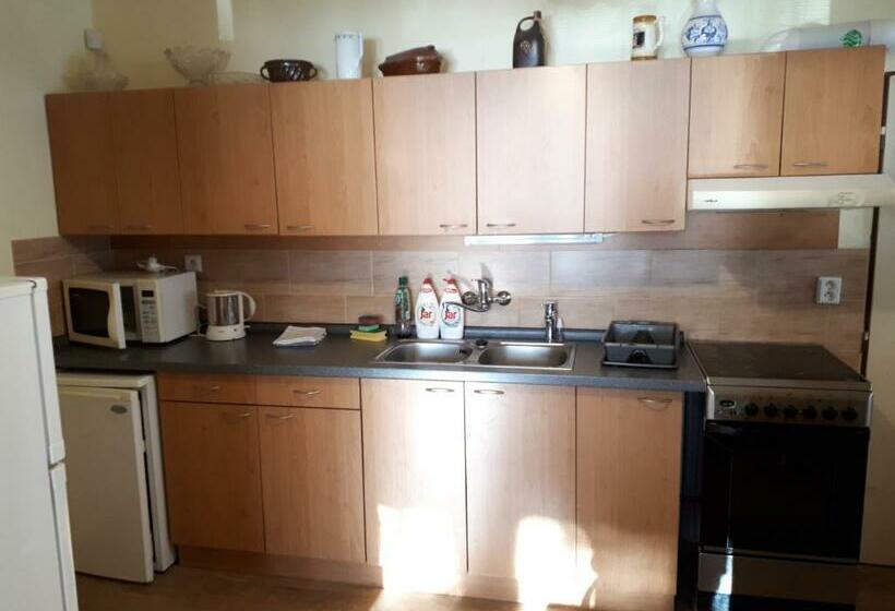 펜션 Pod Sněžníkem