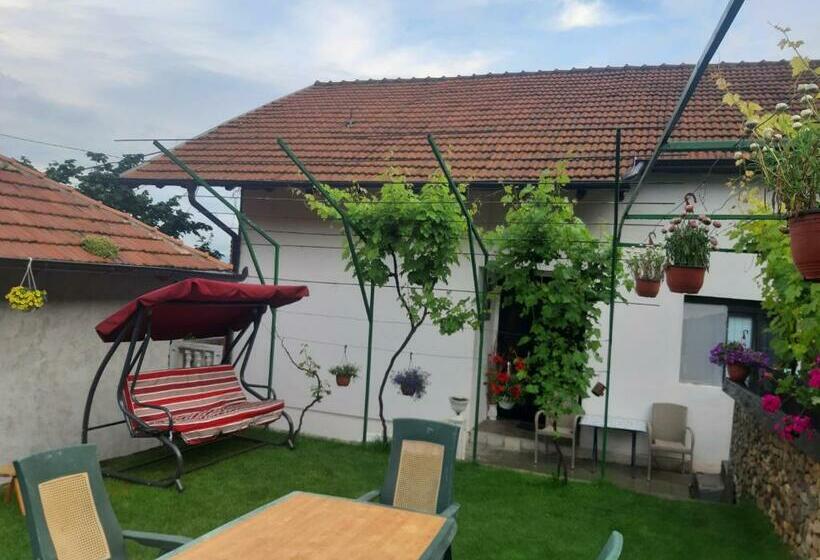 پانسیون Vila Mir