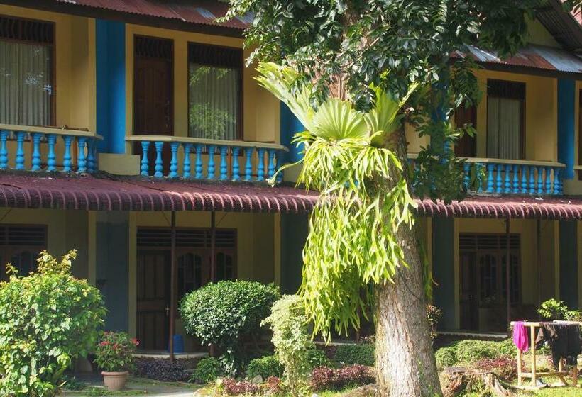 膳宿费 Wisma Leuser Sibayak