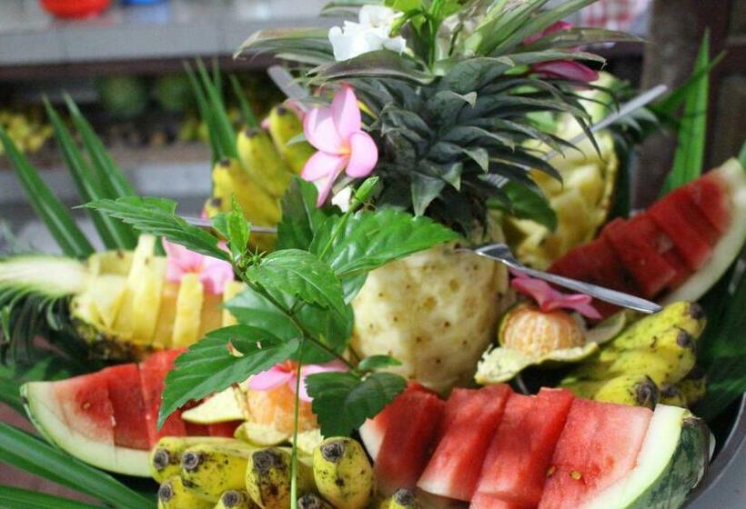 膳宿费 Wisma Leuser Sibayak