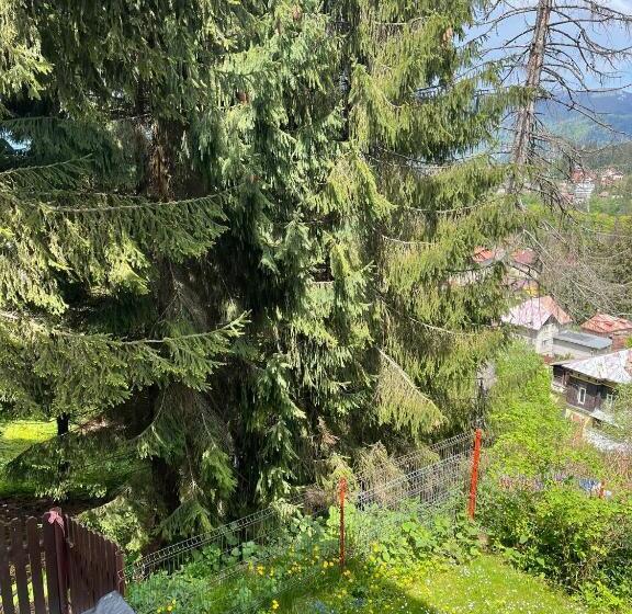 Pension Casa Del Sol Predeal