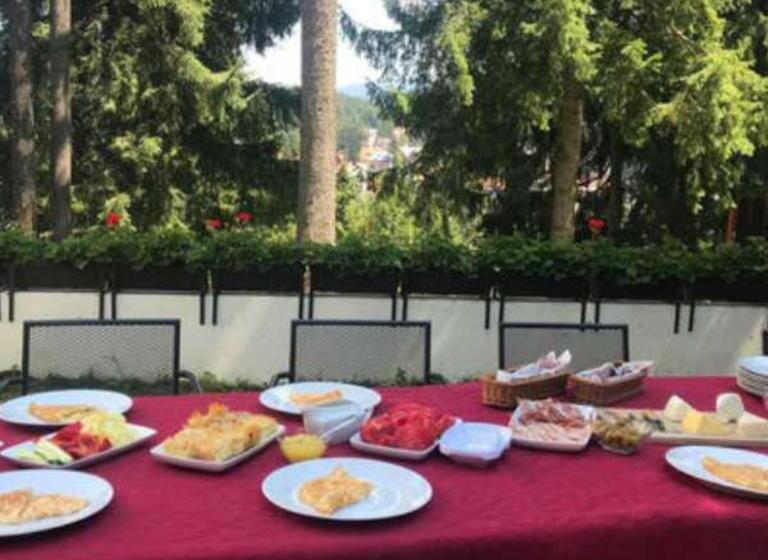 Pension Casa Del Sol Predeal