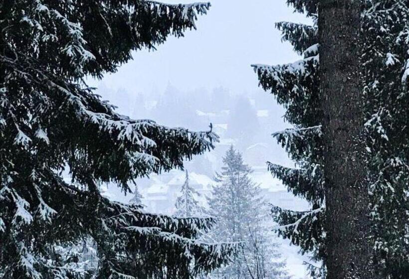 Pension Casa Del Sol Predeal