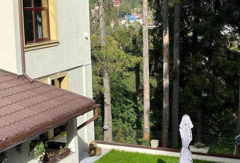 Pension Casa Del Sol Predeal