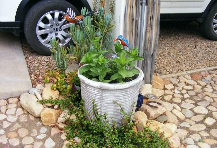 مبيت وإفطار Karoo Chat