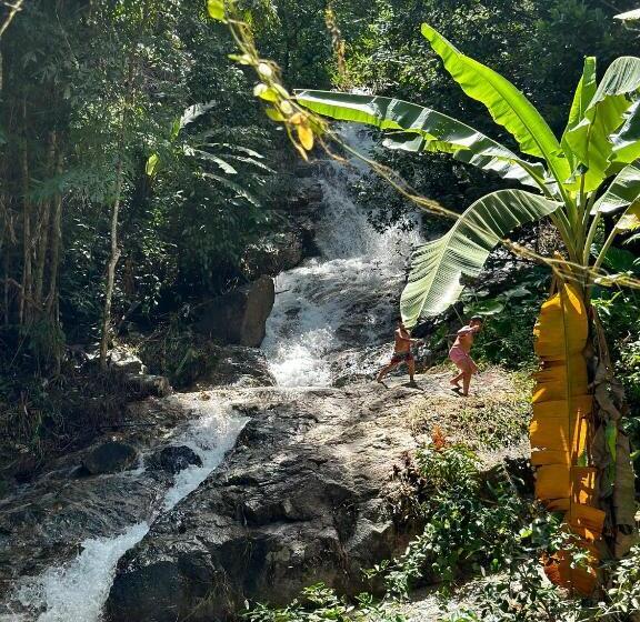 ベッドアンドブレックファースト Nua Tone Resort Bang Tao & Cafe