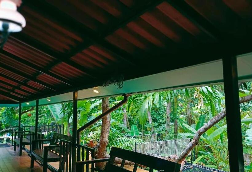 تختخواب و صبحانه Nua Tone Resort Bang Tao & Cafe