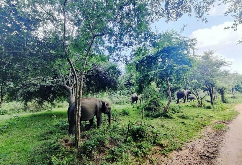 Отель Hasthi Lake Resort