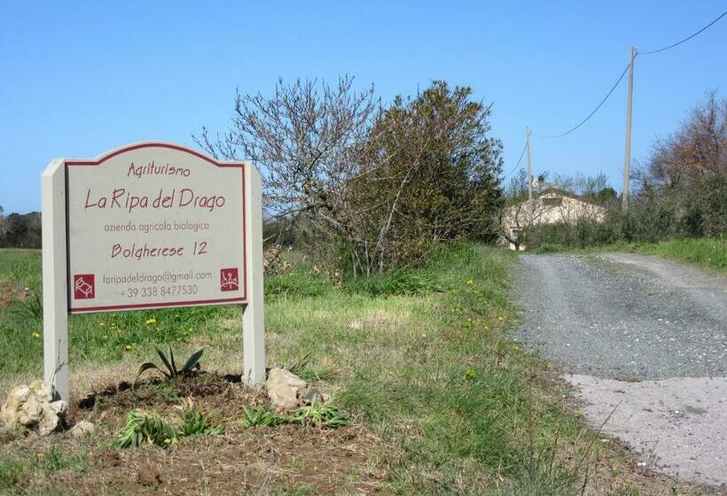 호텔 La Ripa Del Drago