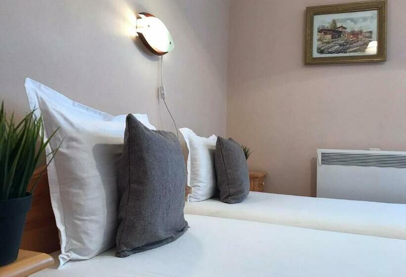 膳宿费 къща за гости загорски