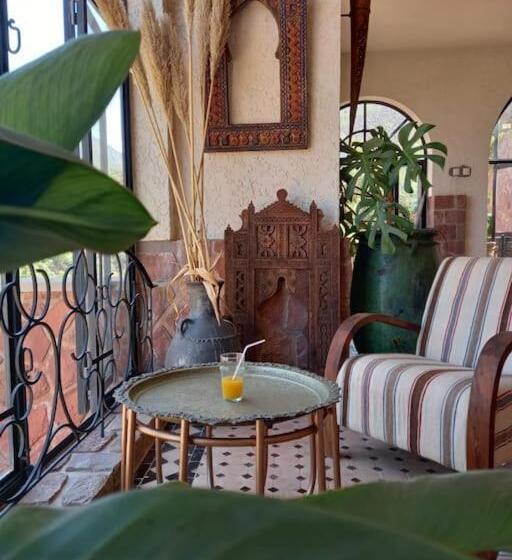 ペンション Boutique Guesthouse Dar Zohra