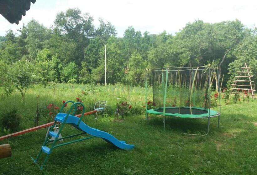 Пансион Casa Dobrin