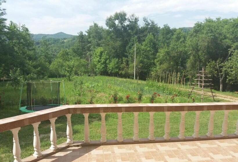 Пансион Casa Dobrin