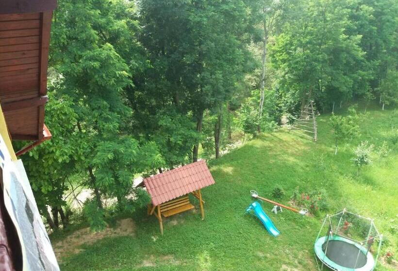 پانسیون Casa Dobrin