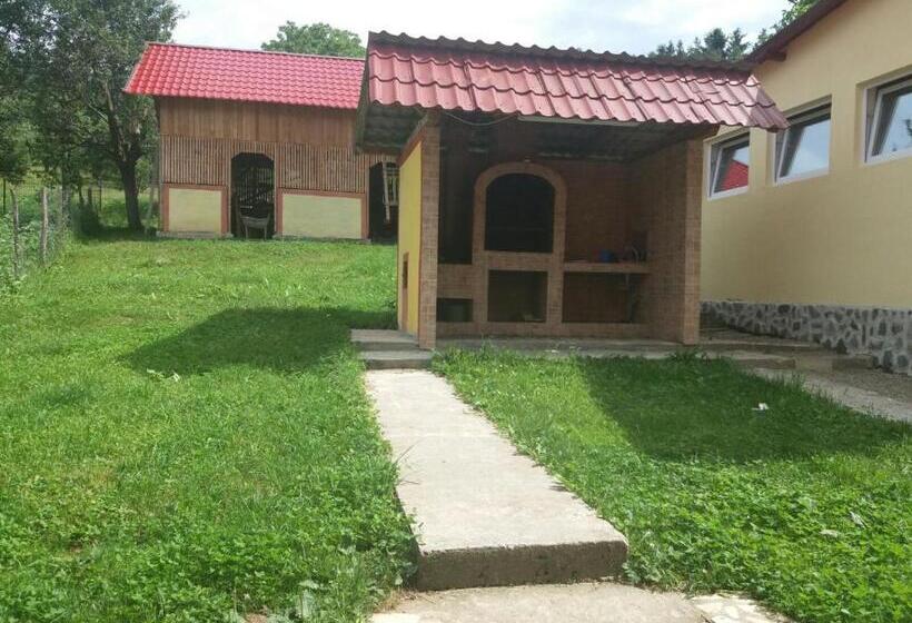 Пансион Casa Dobrin