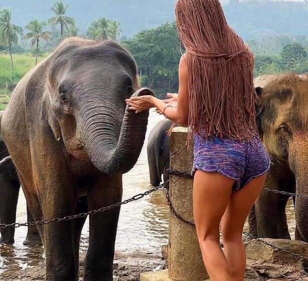 بنسيون Dinimuthu Rest Inn