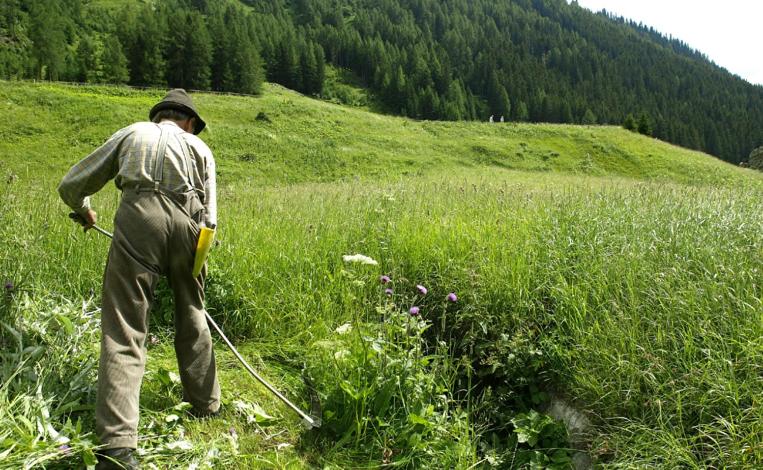 펜션 Haus Elisabeth