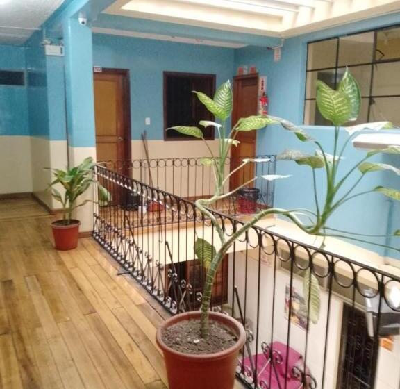 Pension Hostal Mediodía Matriz