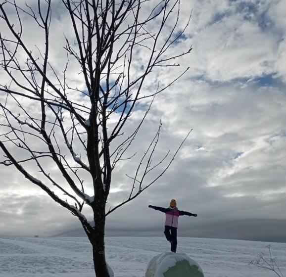 بنسيون Penzion Hraničář