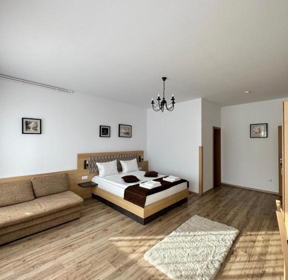 بنسيون Vila Paltinis